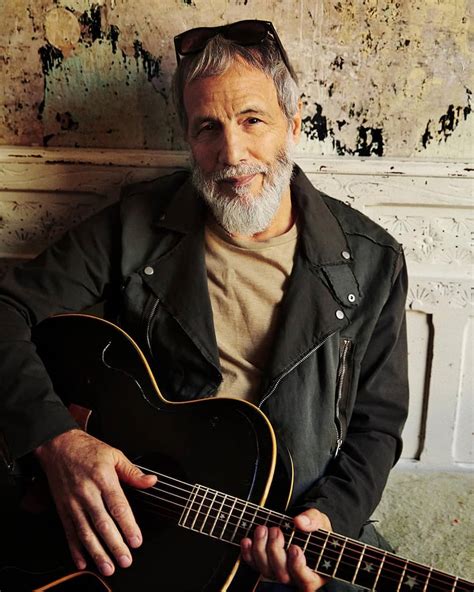 cat stevens